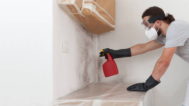 Professional Crawl Space Mold Remediation technician working in Apollo Beach, FL